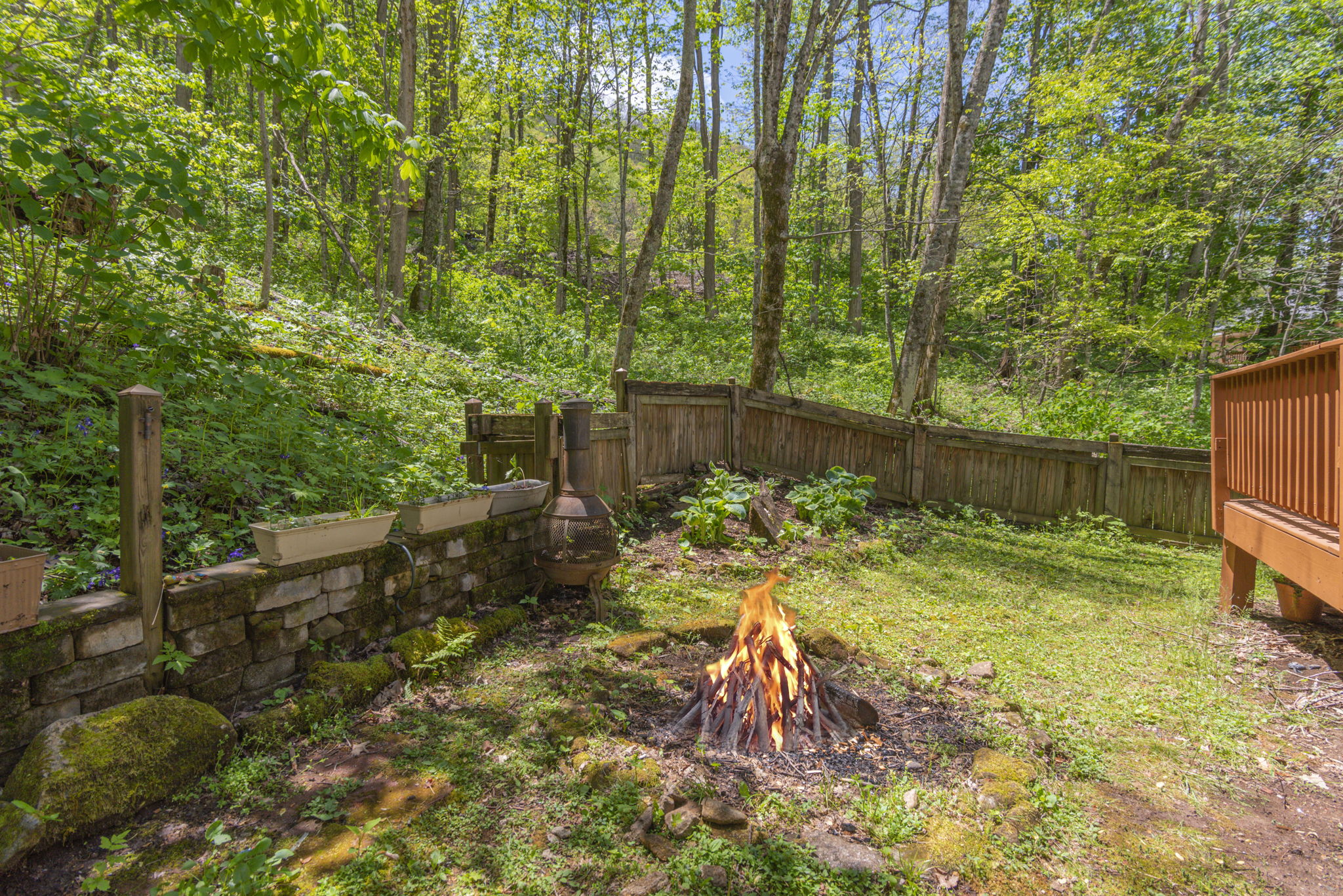 975 Apple Creek Rd, Waynesville, NC 28786 TCMPhotos