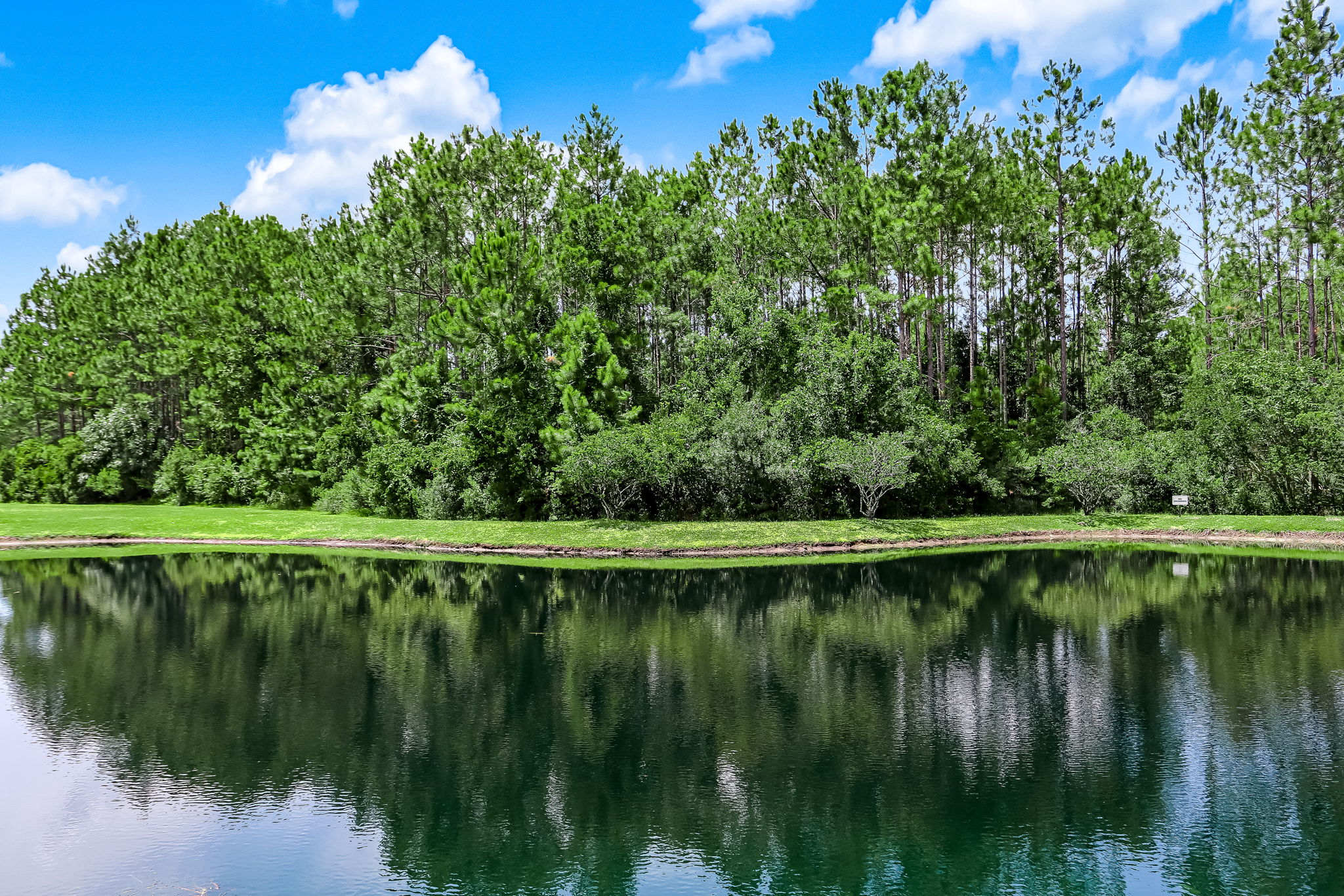Lake View