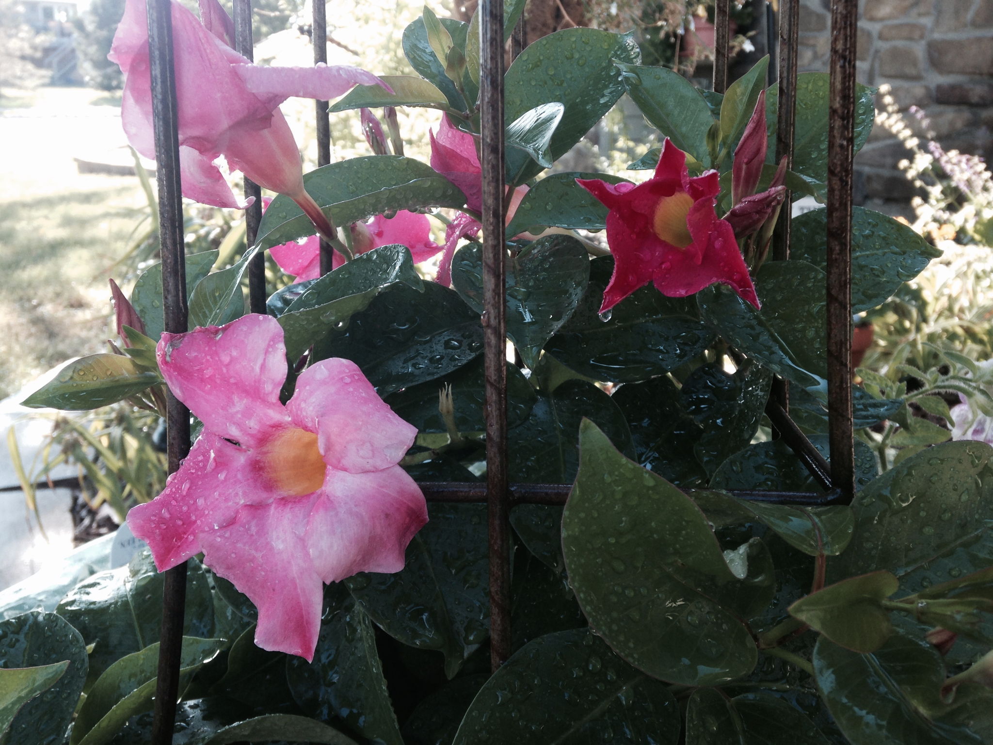 2200 St John Ct, North Mankato, MN 56003, US Photo 24