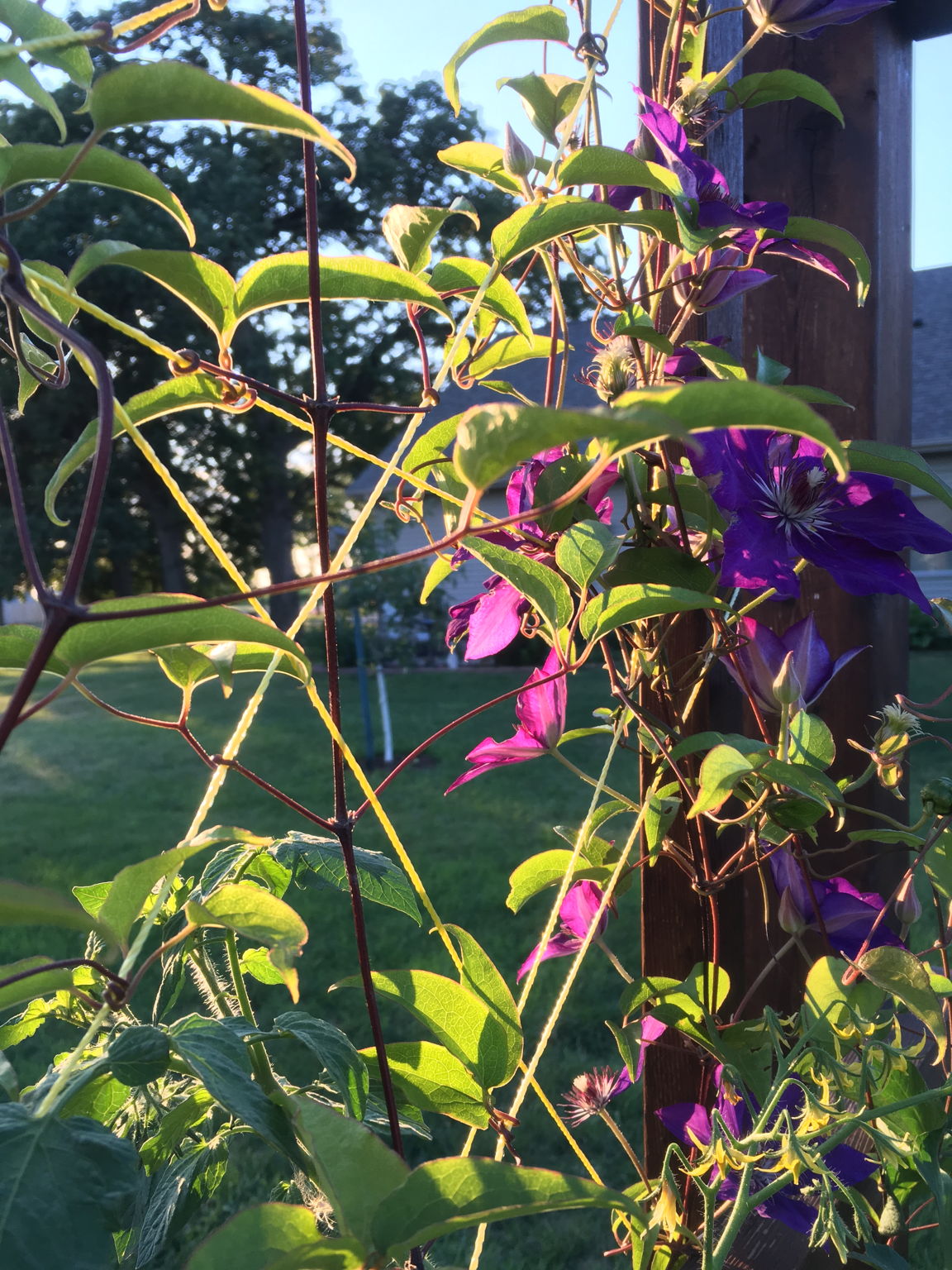 2200 St John Ct, North Mankato, MN 56003, US Photo 23