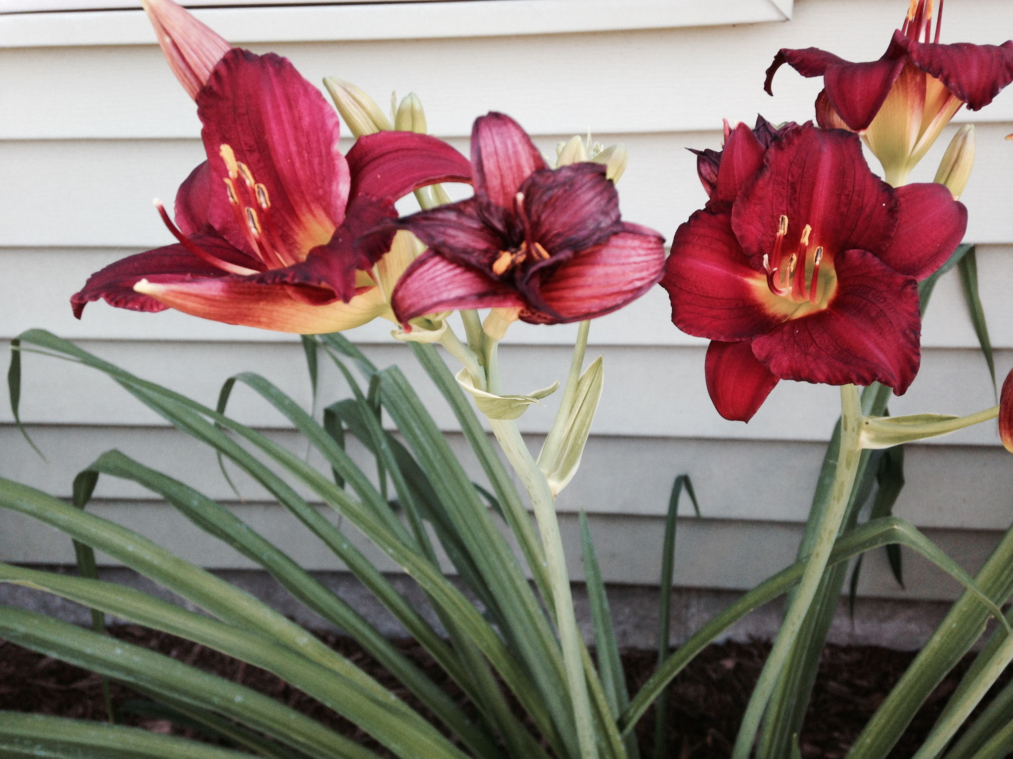 2200 St John Ct, North Mankato, MN 56003, US Photo 22