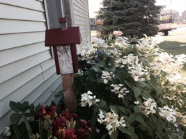 2200 St John Ct, North Mankato, MN 56003, US Photo 20