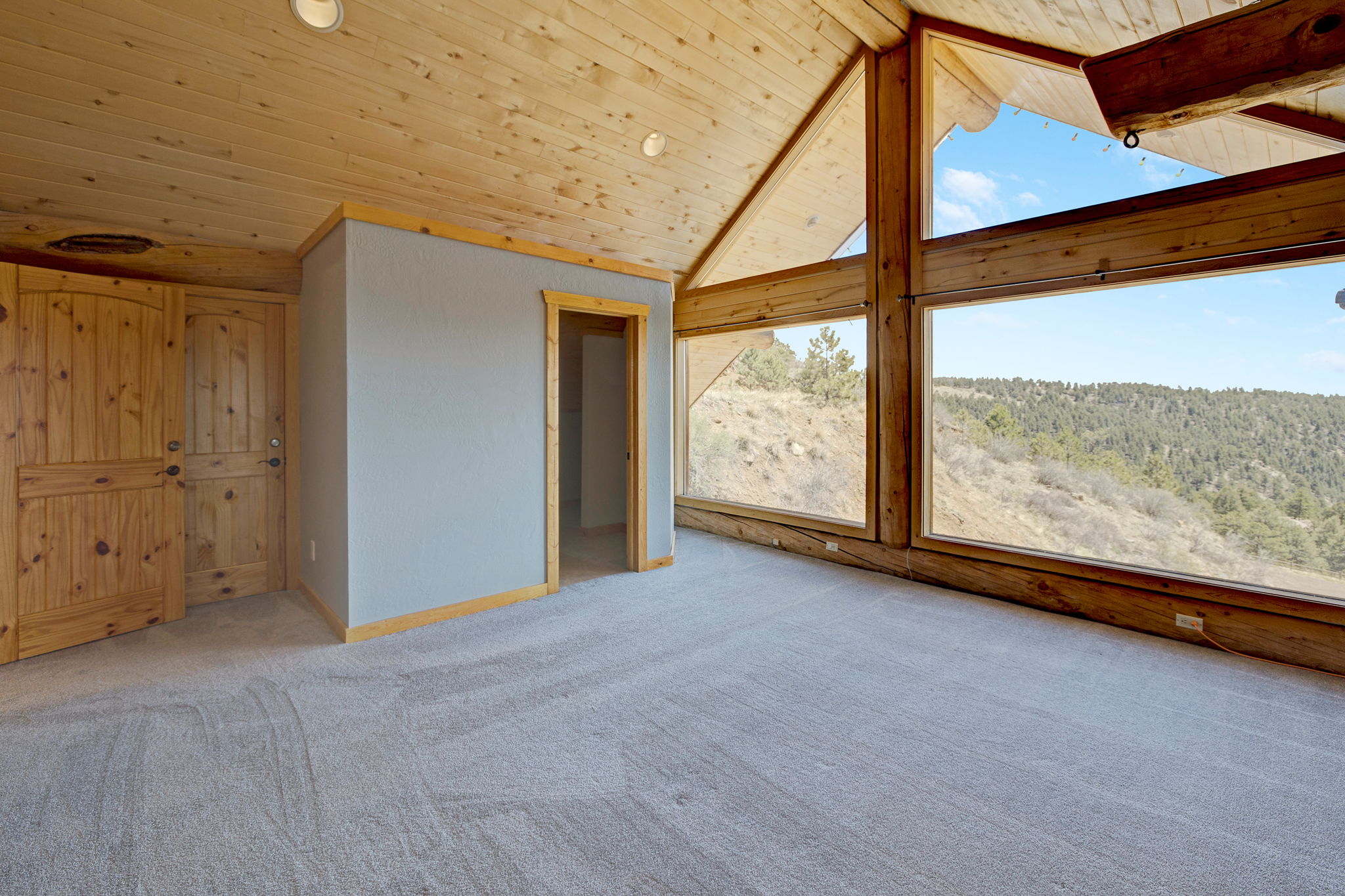 217 N Hill Dr, Bailey, CO 80421, US Photo 59