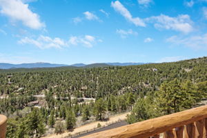 217 N Hill Dr, Bailey, CO 80421, US Photo 74