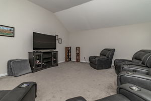 Theater Room