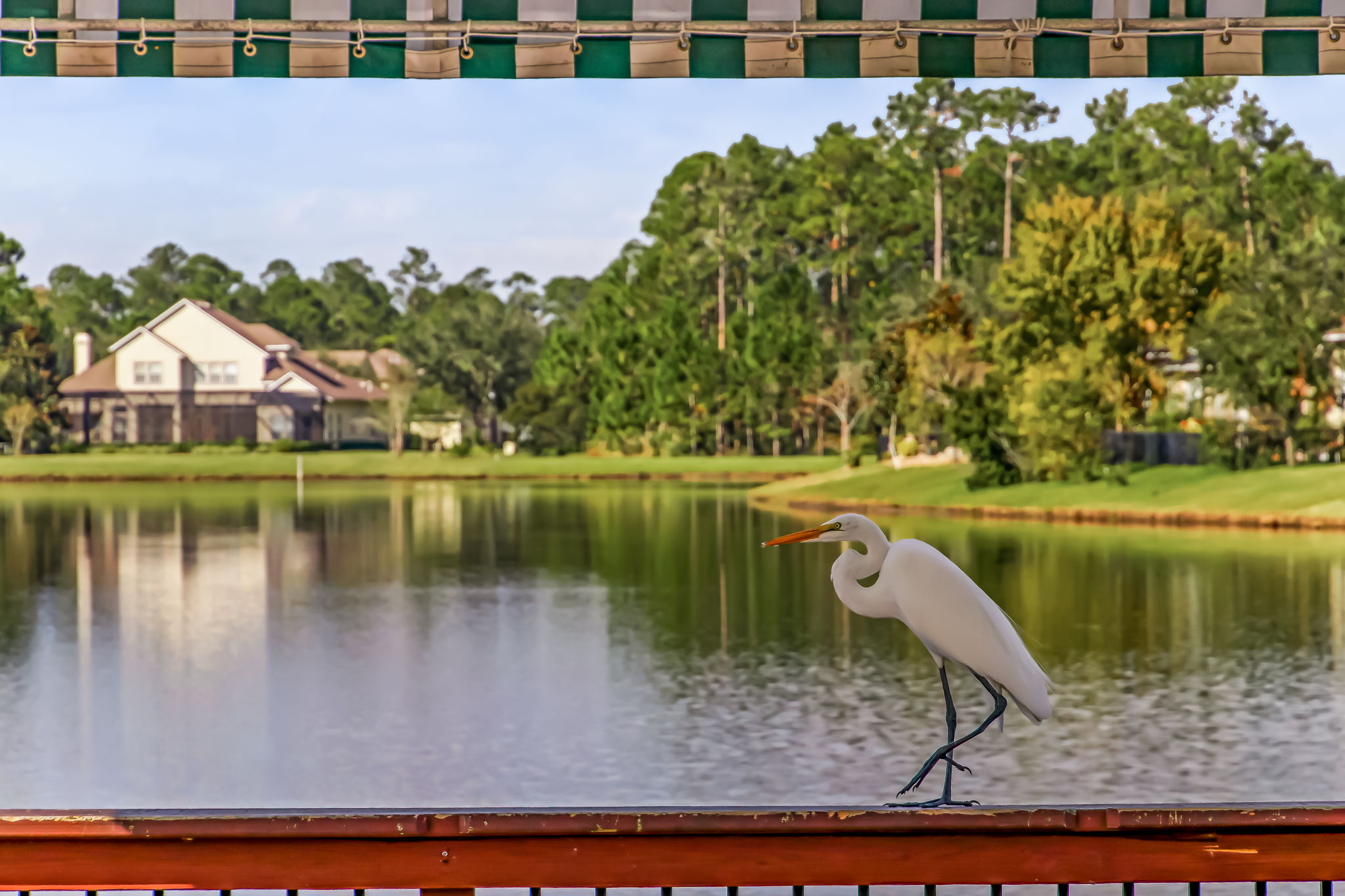 Bartram Springs