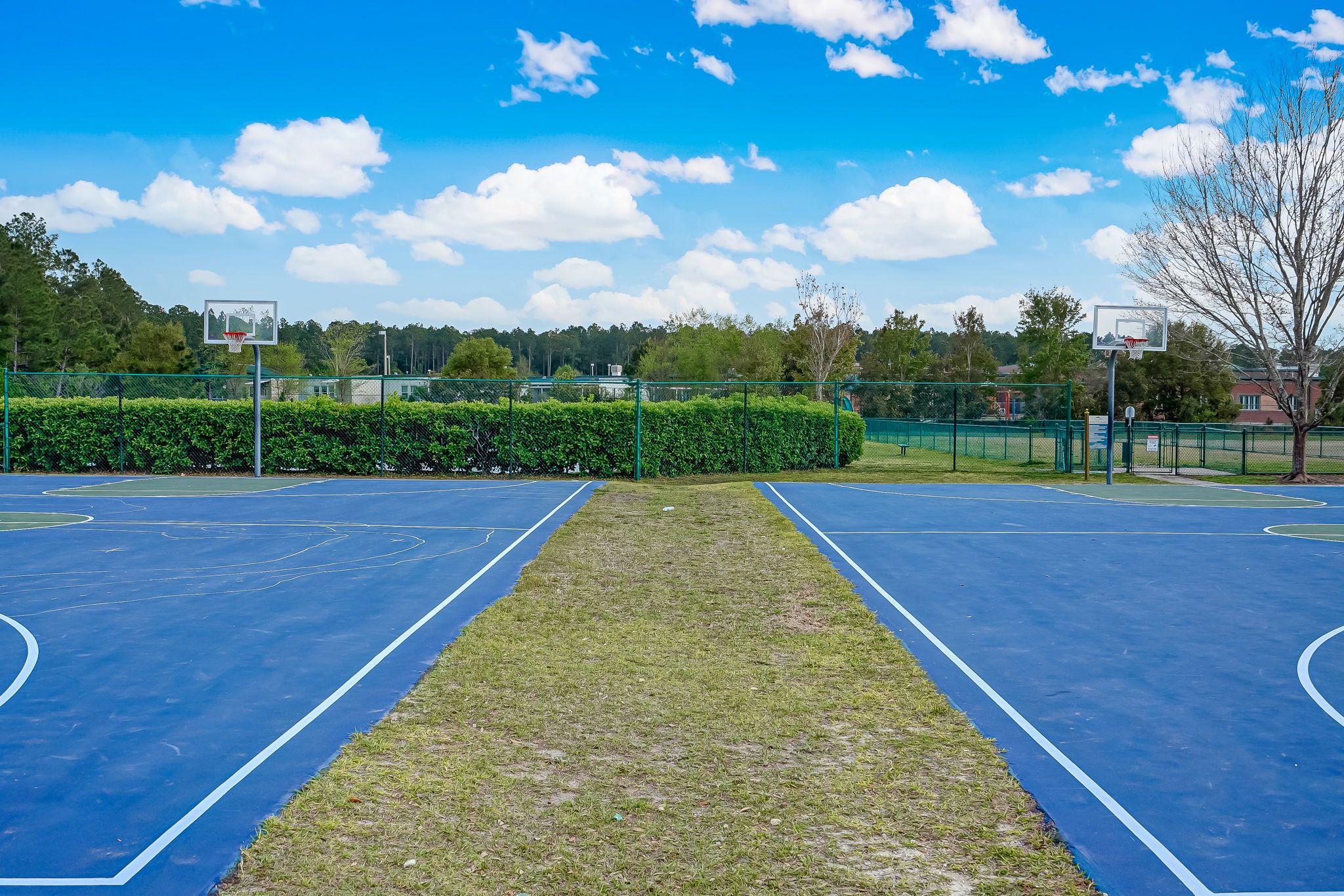 Basketball Court