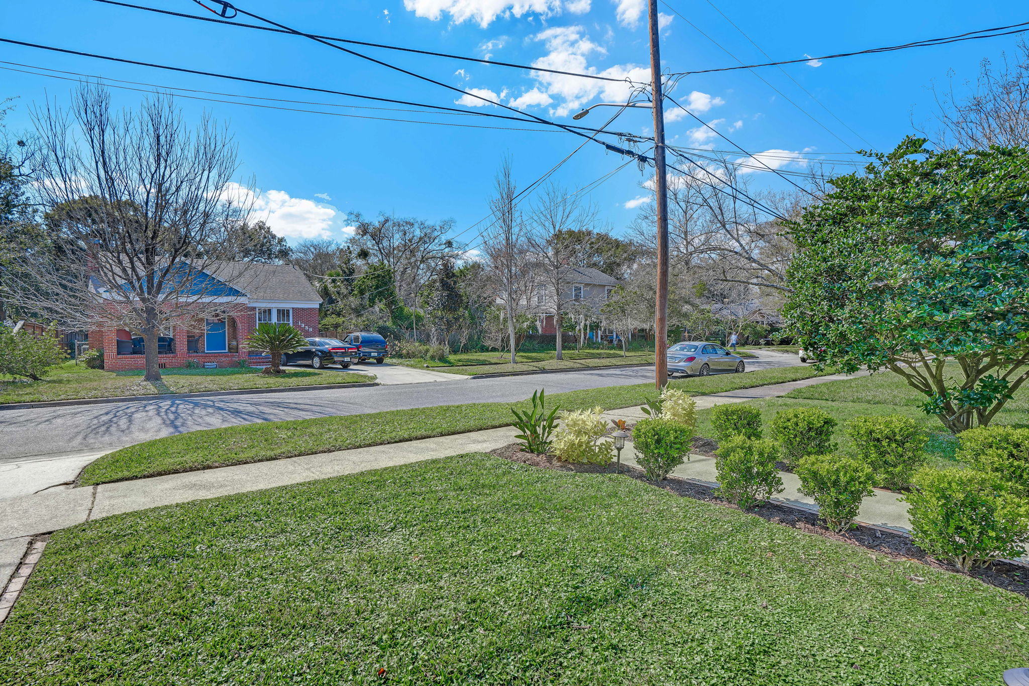 Front Yard