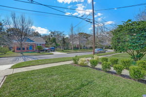 Front Yard