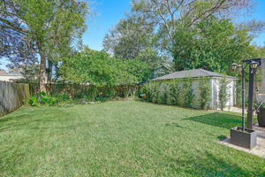 Back Yard