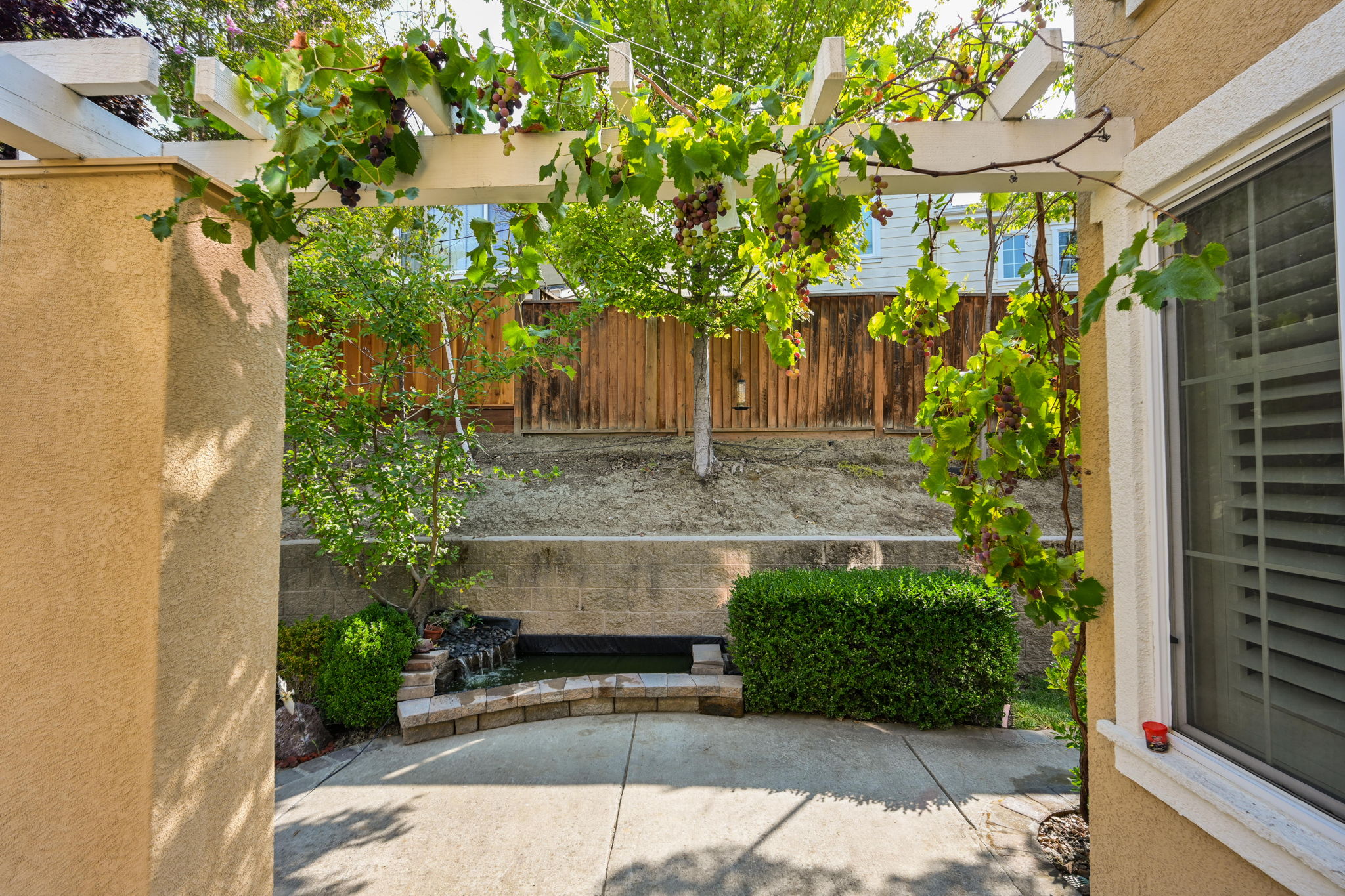 242 Latera Ct, San Ramon, CA 94582, US Photo 17