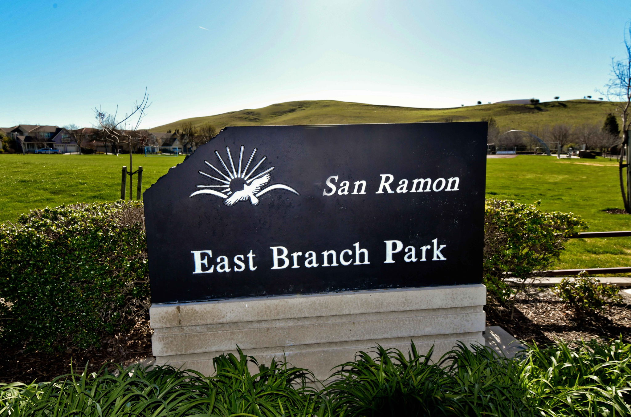 242 Latera Ct, San Ramon, CA 94582, US Photo 21