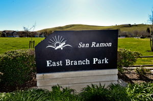 242 Latera Ct, San Ramon, CA 94582, US Photo 20