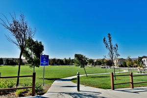 242 Latera Ct, San Ramon, CA 94582, US Photo 24