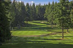 4707 N Foxglove Dr NW, Gig Harbor, WA 98332, US Photo 34