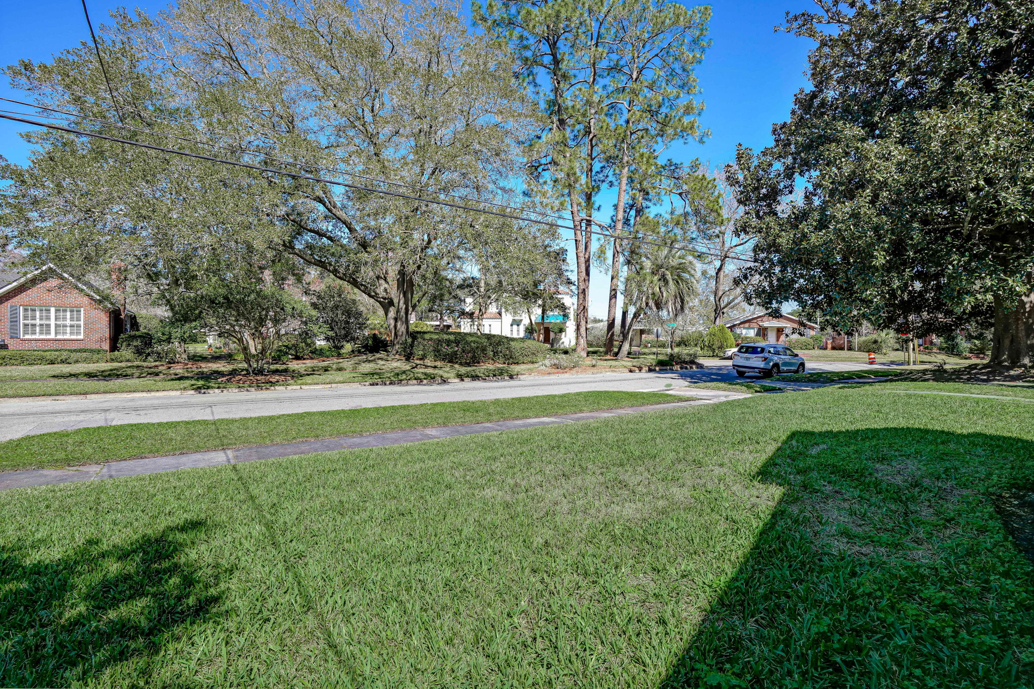 Front Yard