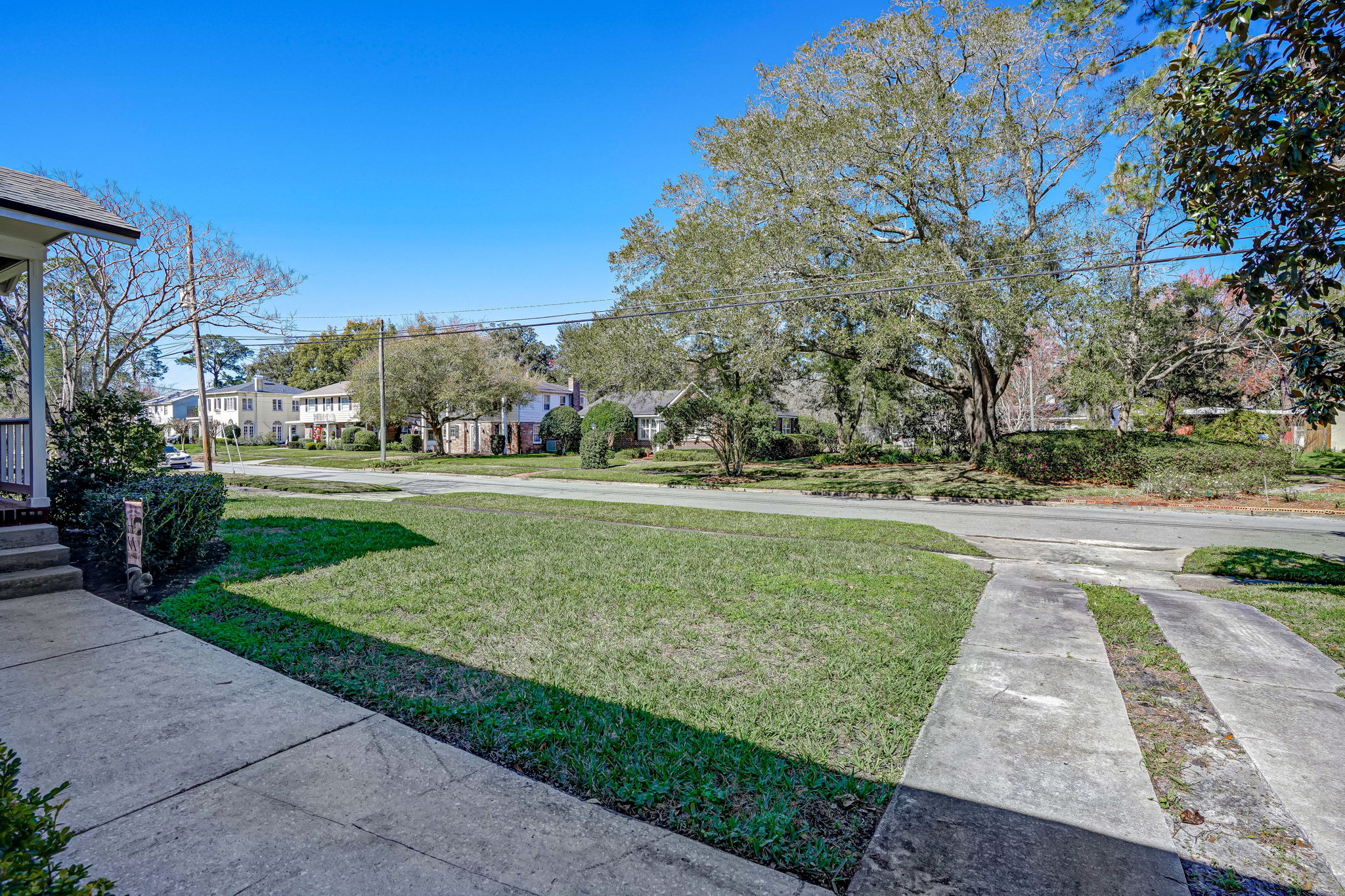 Front Yard