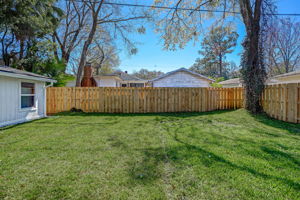Back Yard