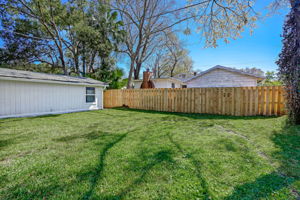 Back Yard