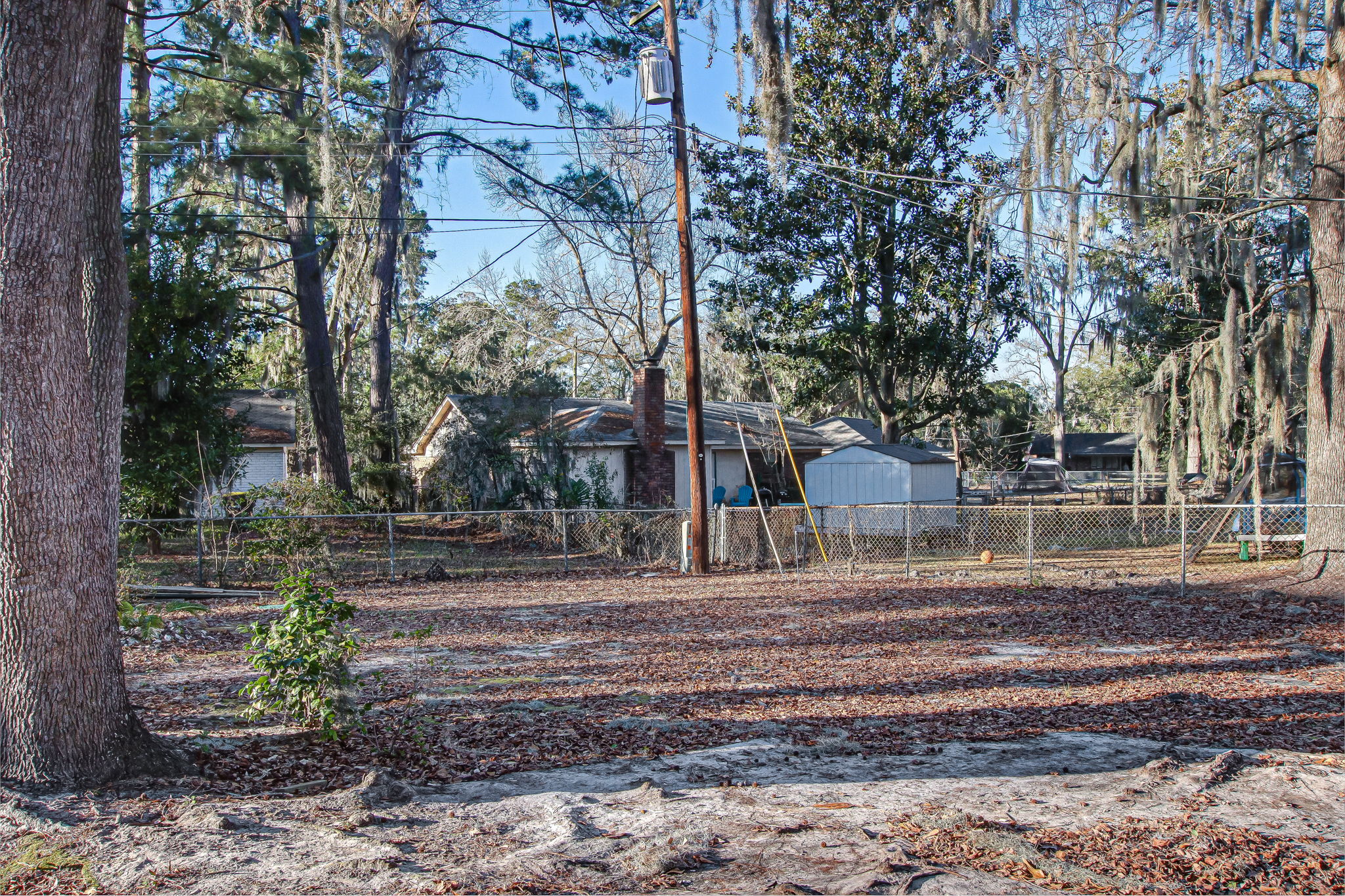 Backyard