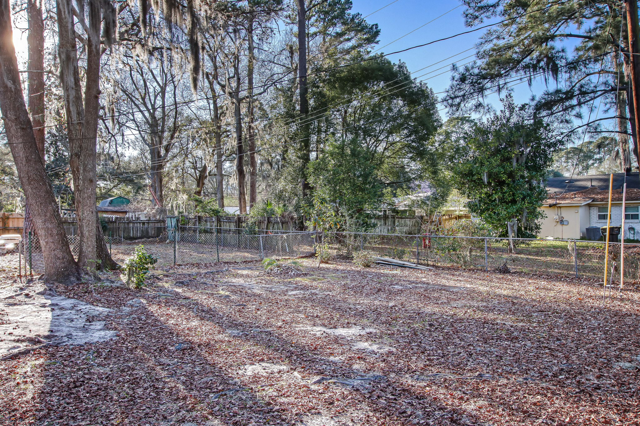 Backyard