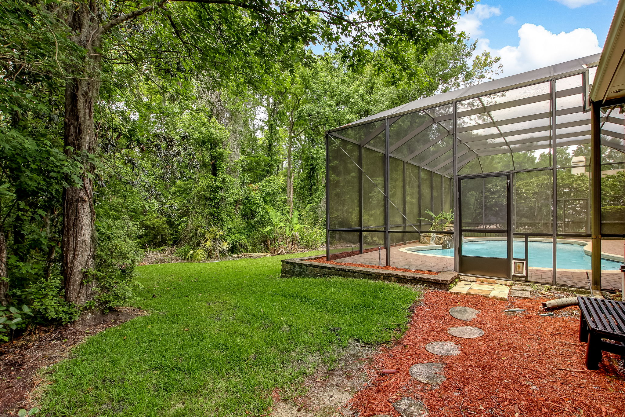 Back Yard