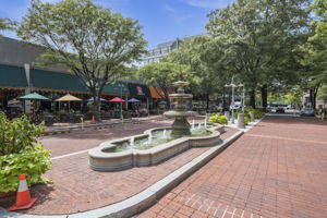 4634 31st Rd S, Arlington, VA 22206, US Photo 54