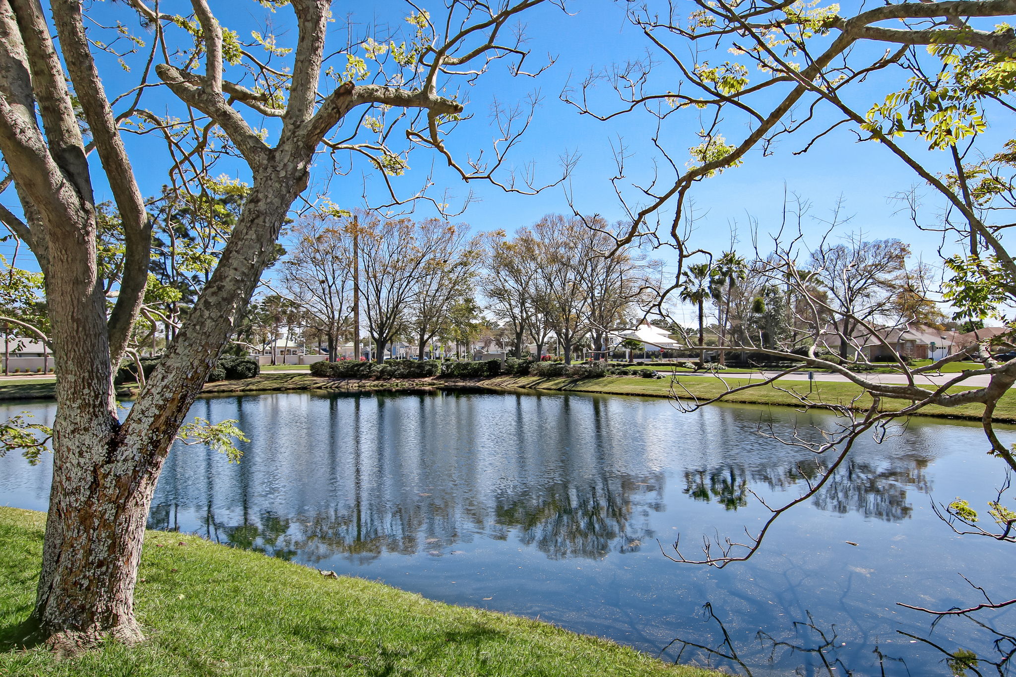 Lake View