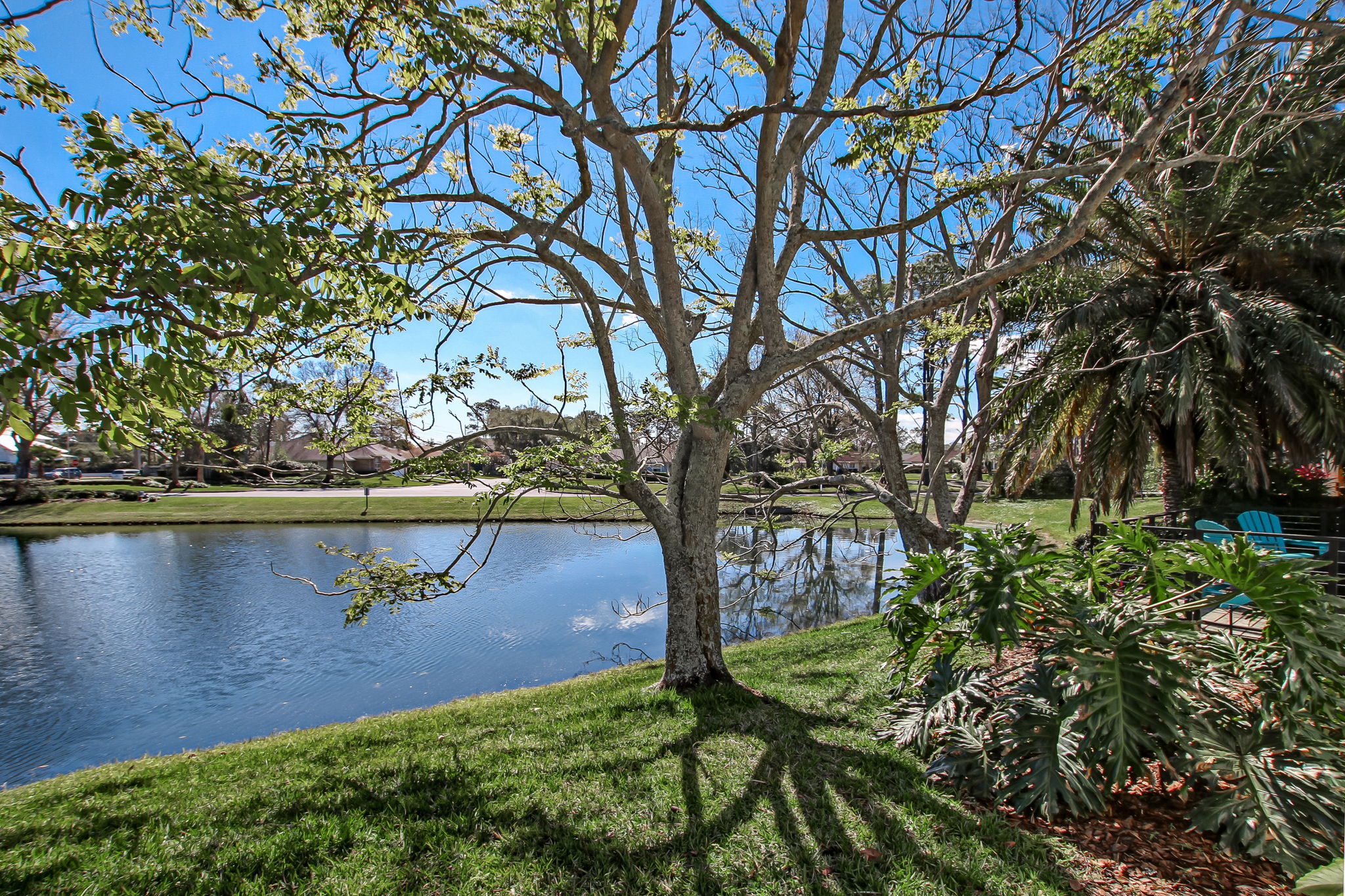 Lake view