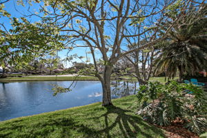 Lake view