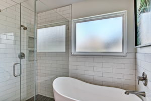 Walk in Shower & Statement Tub