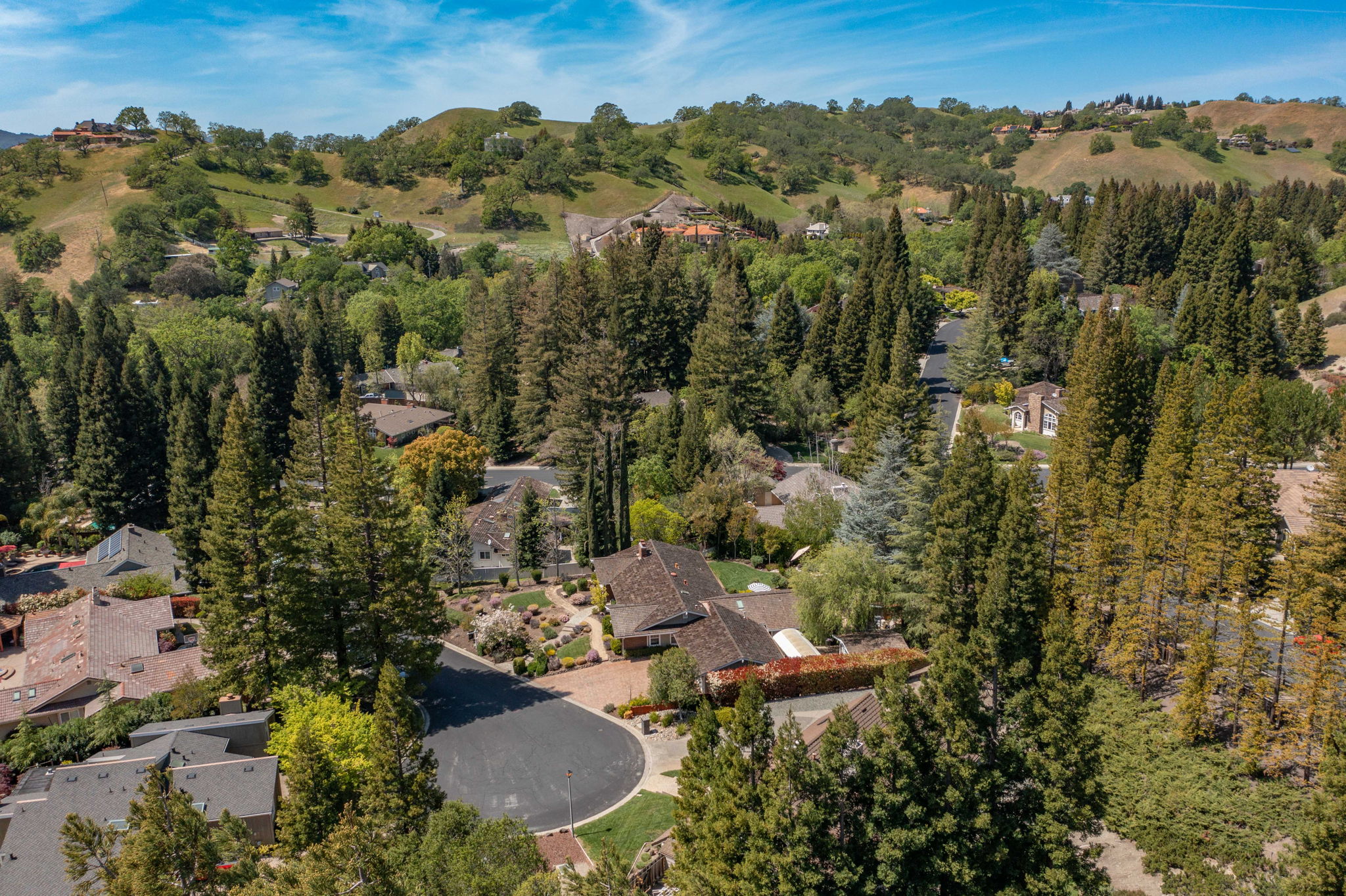 76 Janis Ct, Alamo, CA 94507, US Photo 38