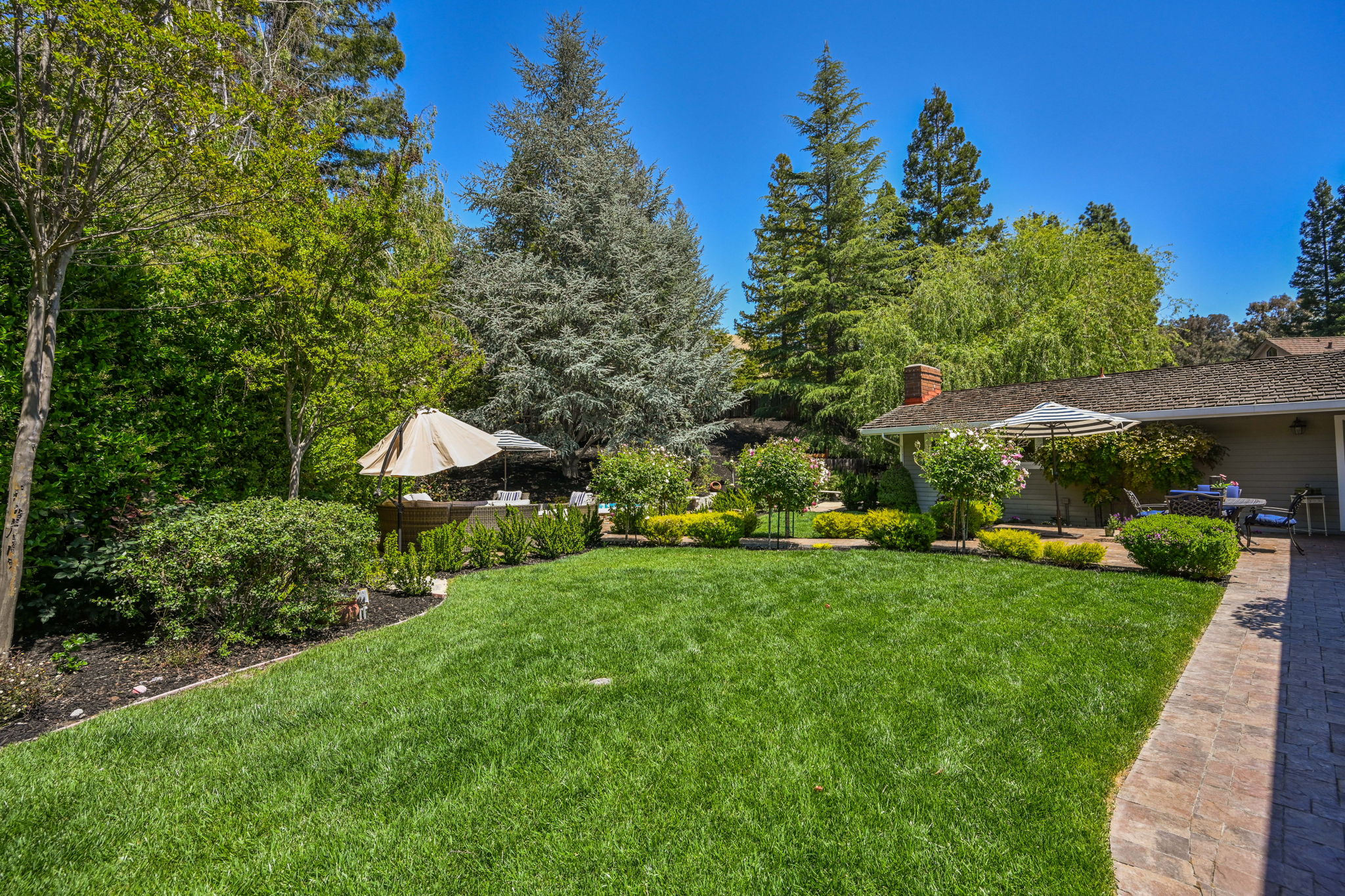 76 Janis Ct, Alamo, CA 94507, US Photo 28