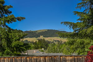 300 McCloud Pl, Danville, CA 94526, US Photo 24