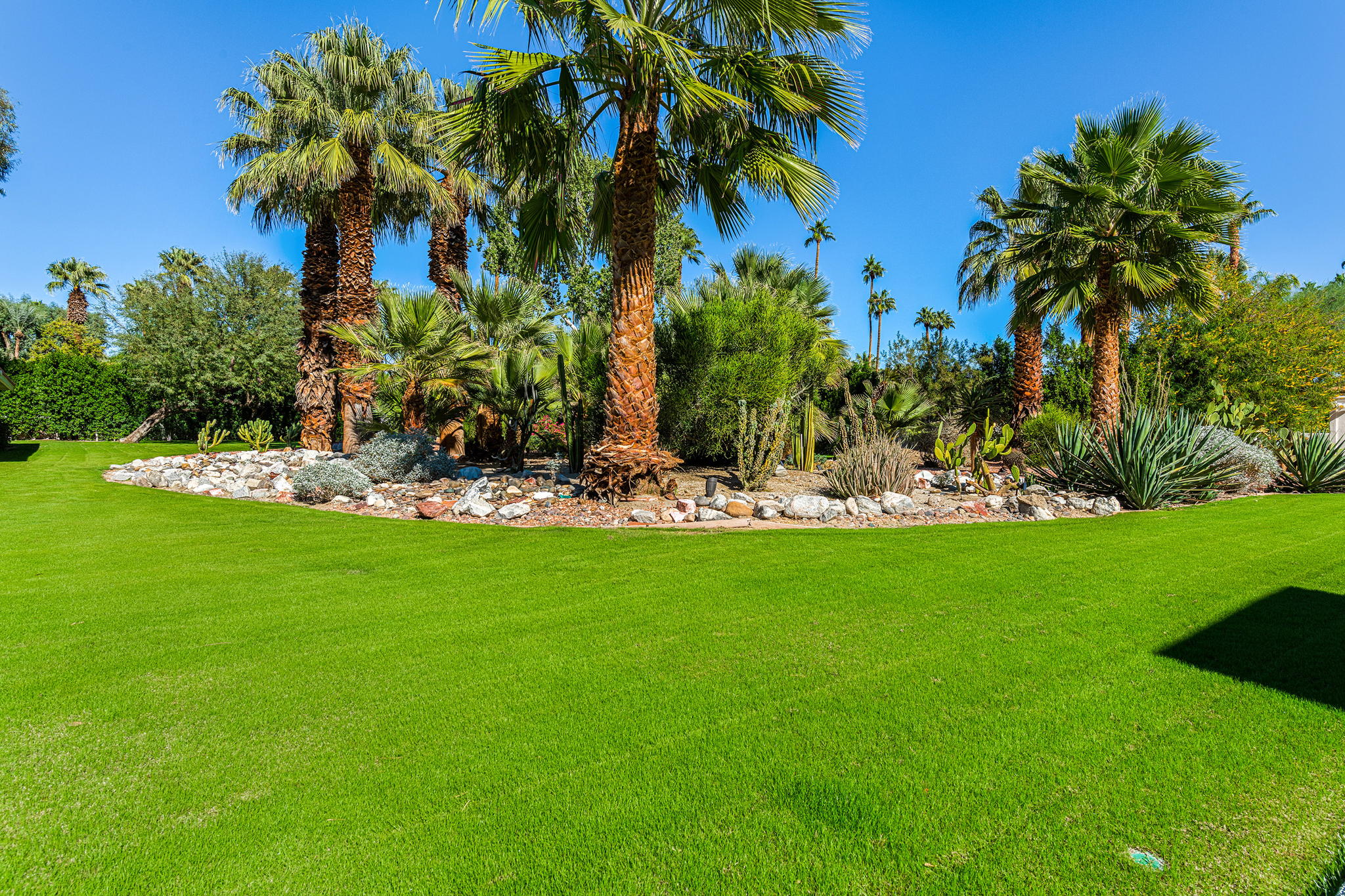 480 W Vía Lola, Palm Springs, CA 92262, USA Photo 31