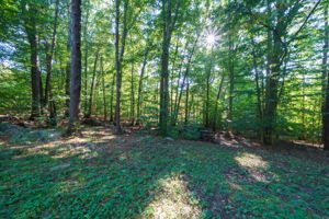 33 Beech Mountain Cir, Mansfield Center, CT 06250, USA Photo 5