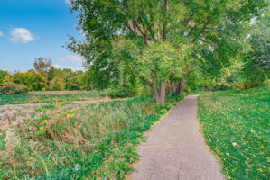 This is the walking path that leads to Medley park and connects to the General Mills Research Nature area. So relaxing. Imagine strolling with your fur babies here.