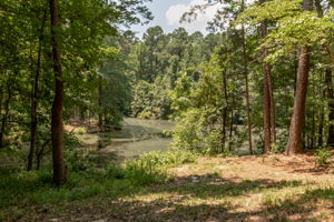 Pond Behind Home