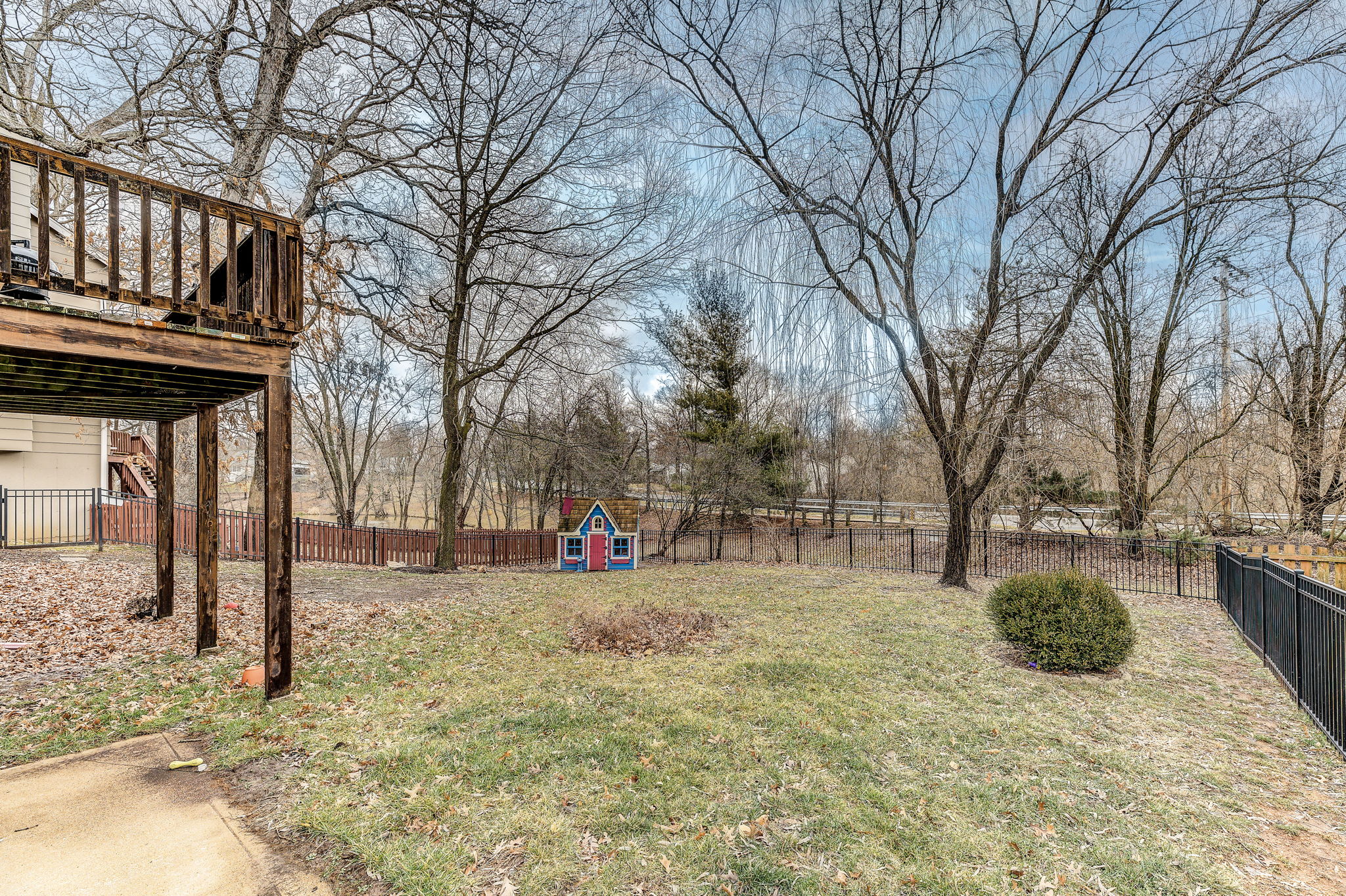 Backyard