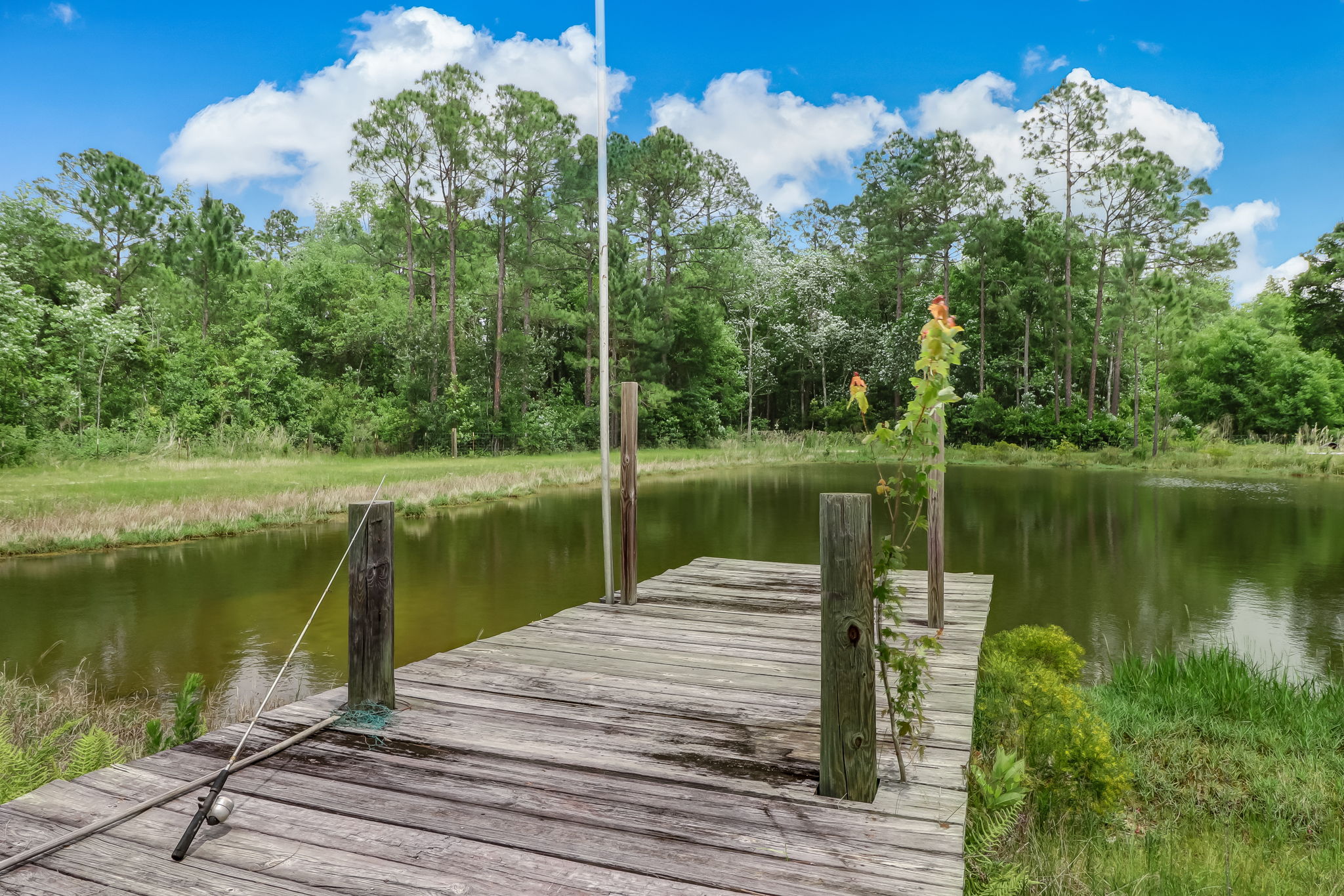 Pond