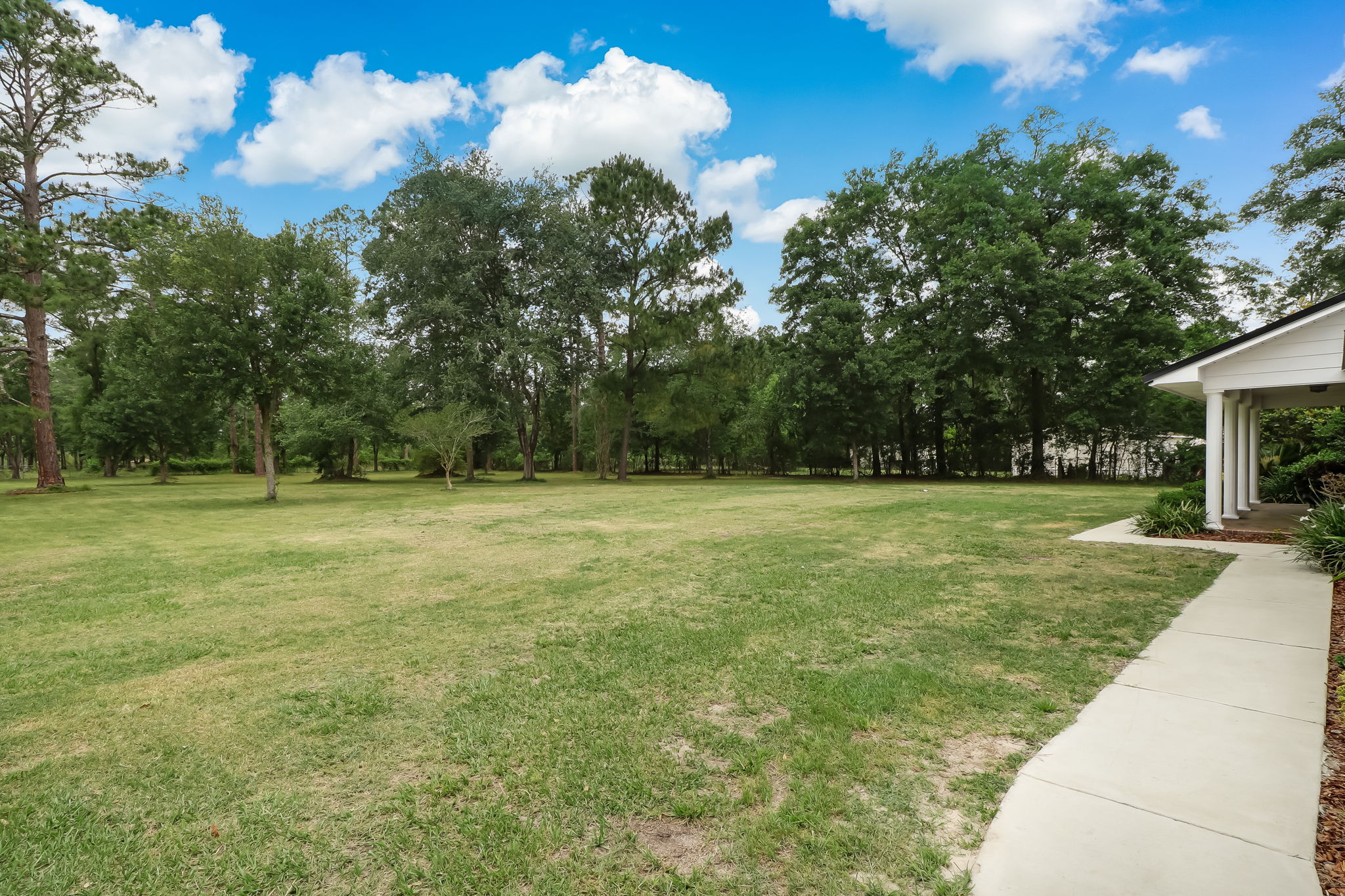 Front Yard