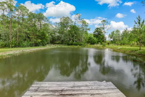 Pond