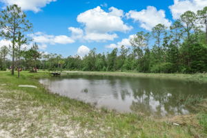 Pond