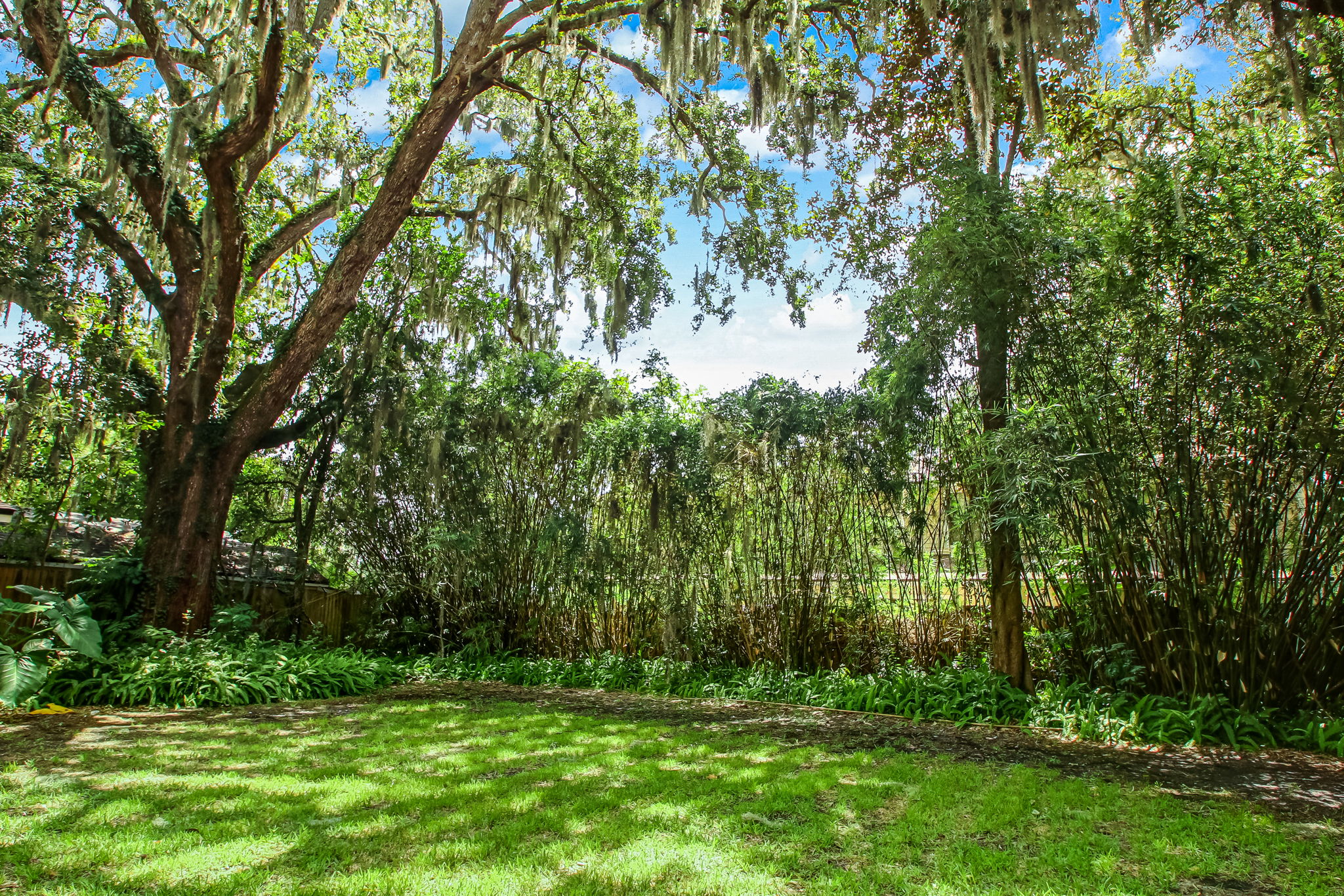 Backyard