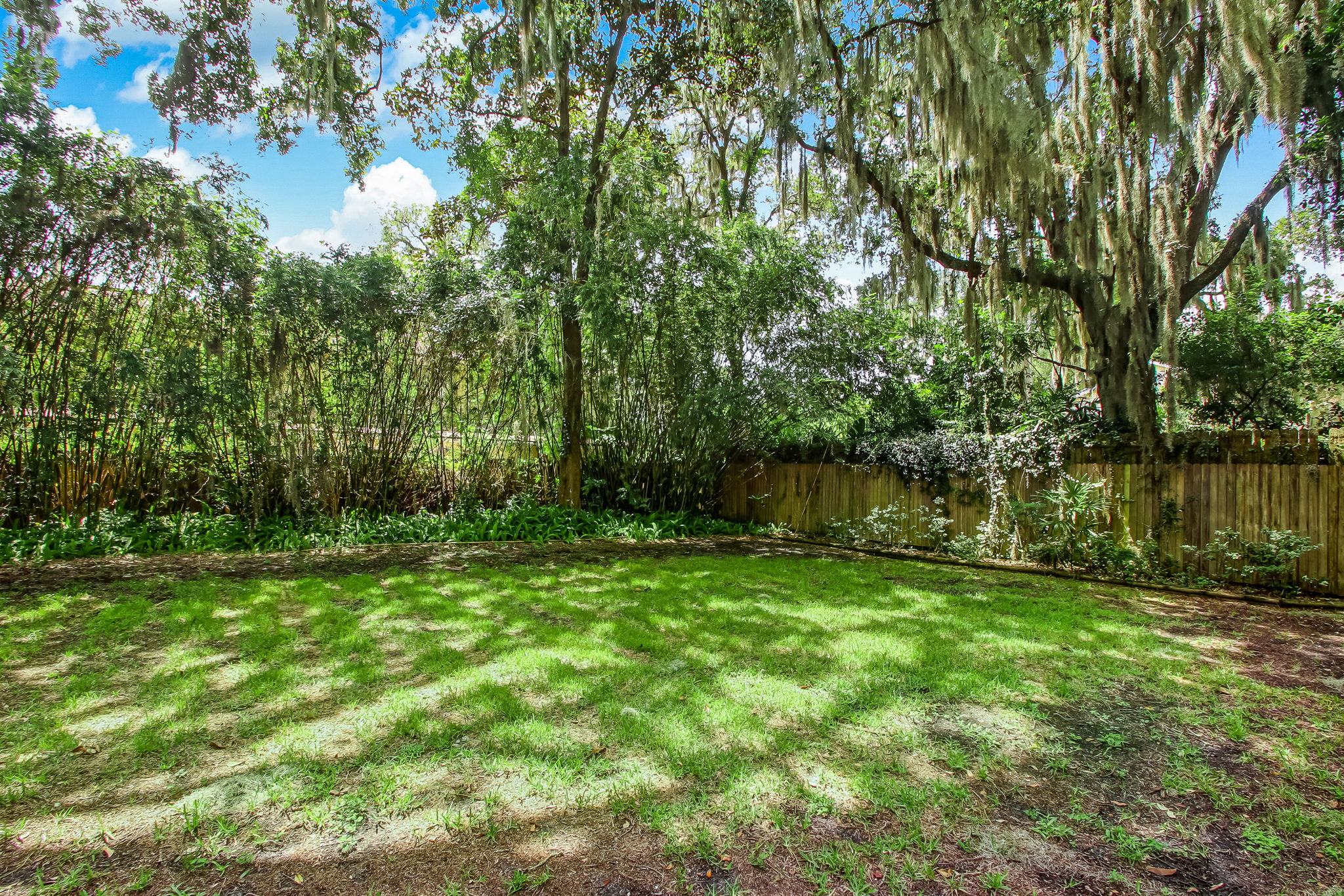Backyard