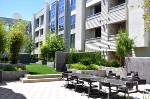 1655 N California Blvd, Walnut Creek, CA 94596, US Photo 31