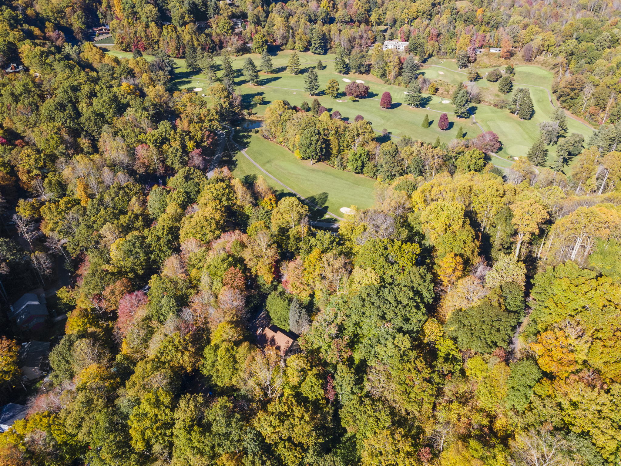 40 Maplewood Dr, Maggie Valley, NC 28751, USA Photo 41