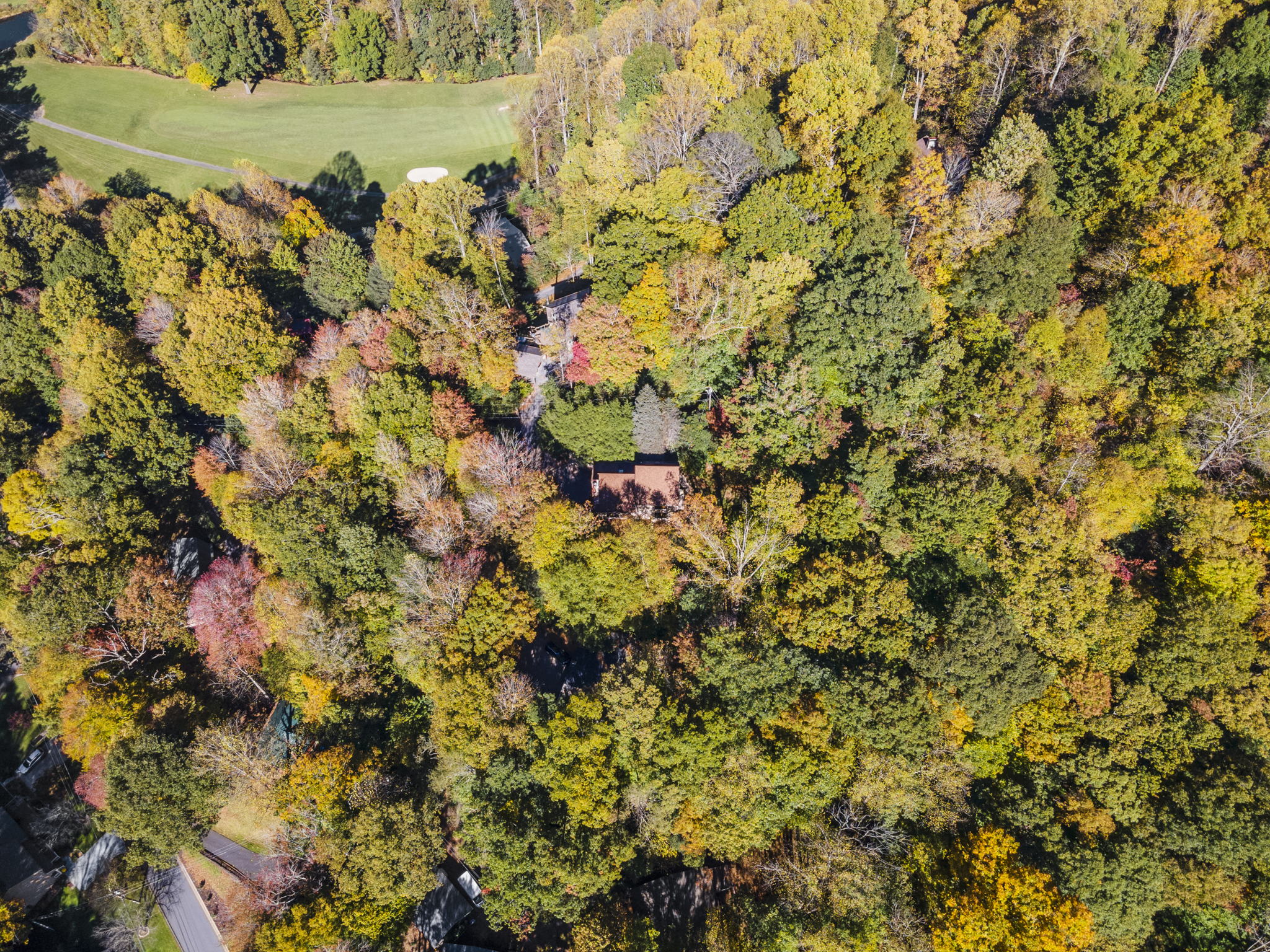 40 Maplewood Dr, Maggie Valley, NC 28751, USA Photo 43