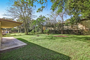Backyard