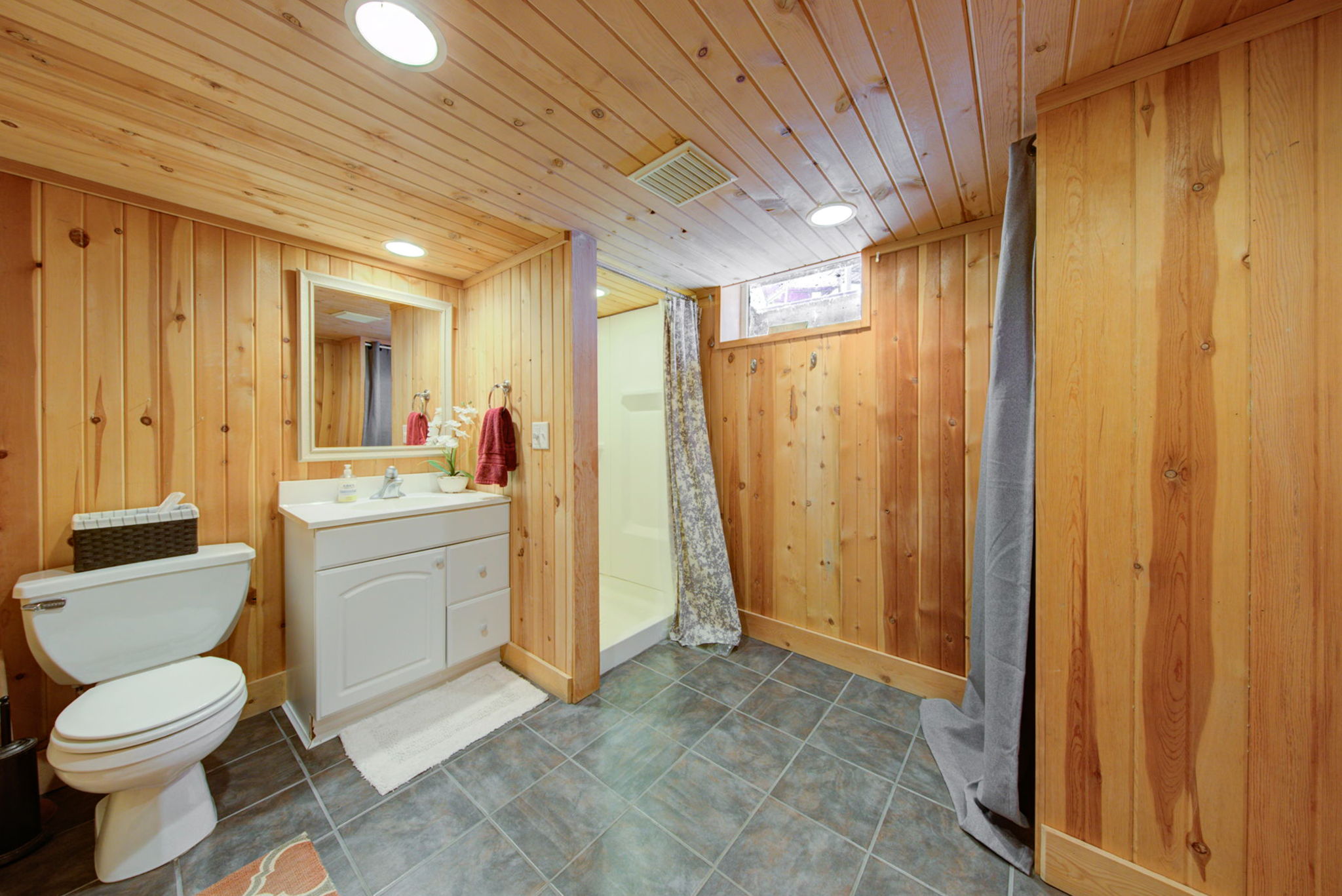 Lower Level - Bathroom
